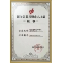 浙江省科技型中小企業(yè)證書